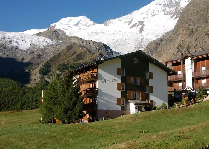 Apartment Haus Amedee By Interhome Saas-Fee